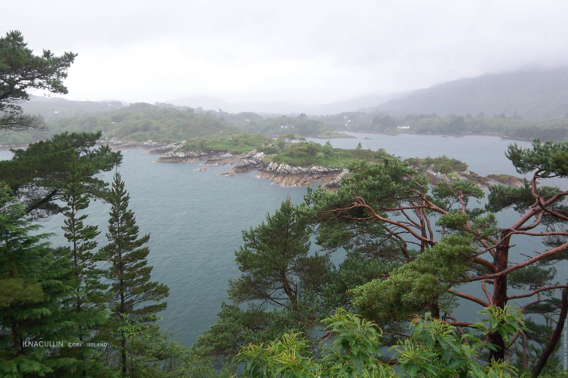 Ilnacullin, Cork, Ireland 3